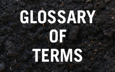 Bioremediation: a glossary of commonly used terms