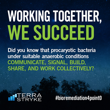 Working together, we succeed. #bioremediation4point0